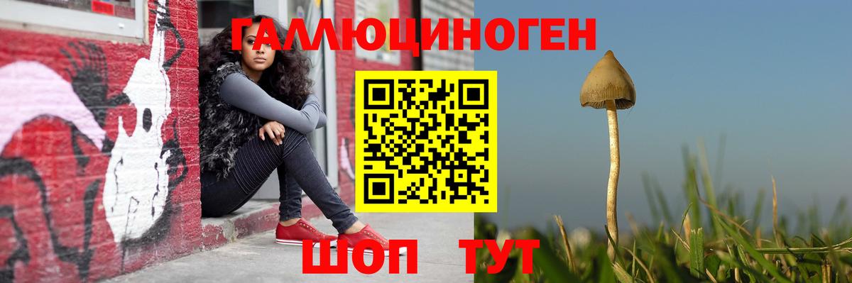Ноябрьск  Галлюциногенные грибы прущие грибы  Псилоцибиновые грибы Psilocybine cubensis  Вход с VPN 