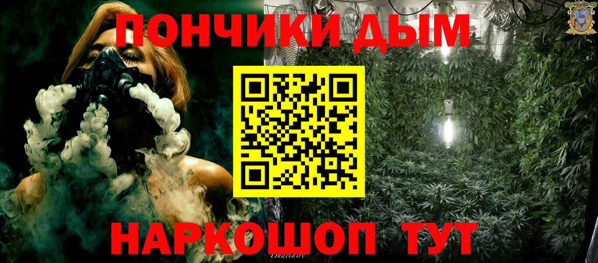 Бошки марихуана Amnesia Ноябрьск